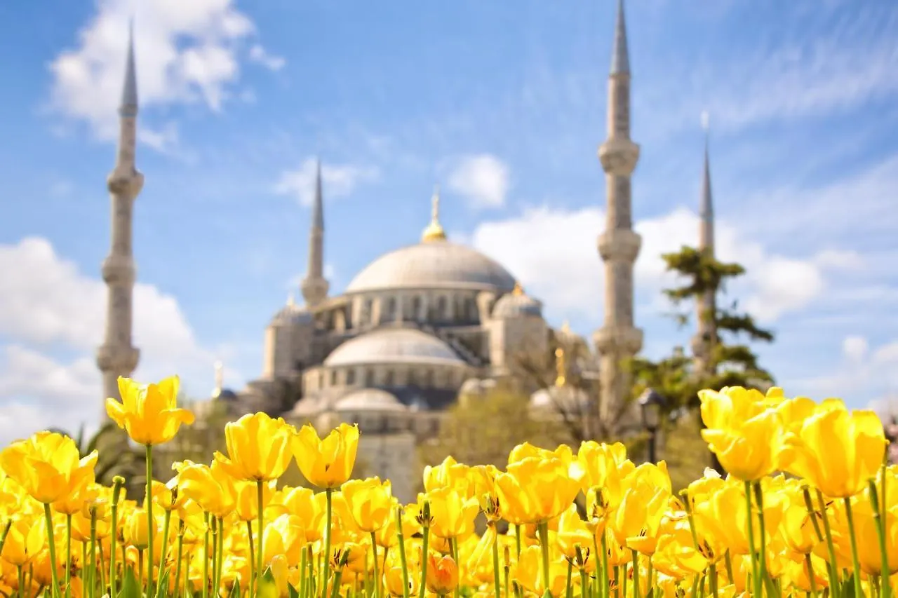 Perazre Hotel İstanbul